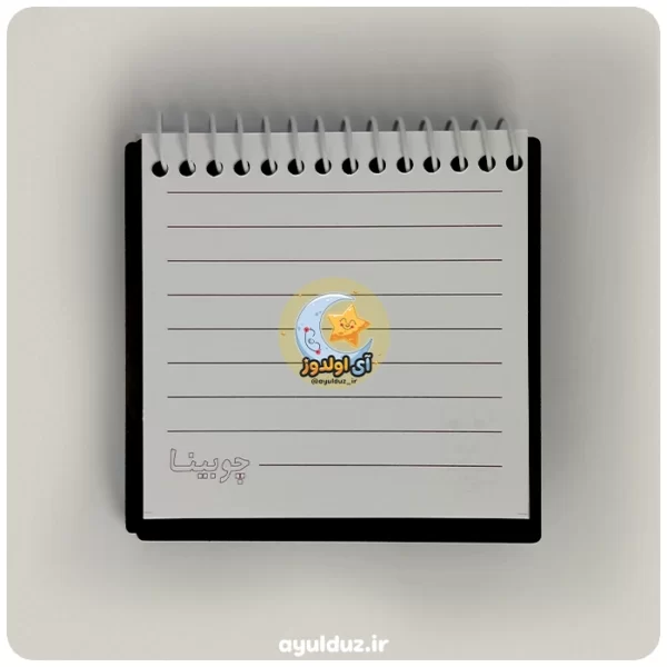 دفترچه سیمی جلد چوبی طرح خرگوش سه بعدی صفحات یادداشت